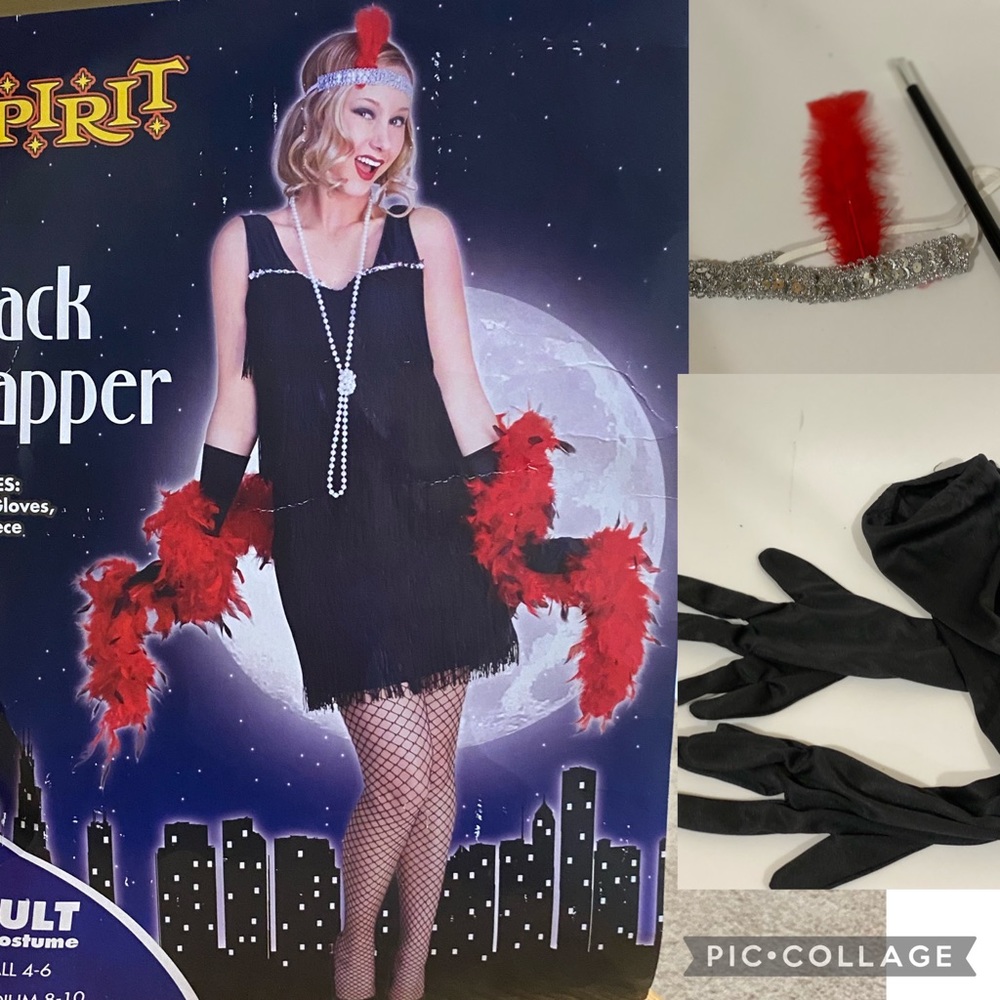 1920s Flapper Great Gatsby dress size S